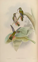 ユートゲネスは非難された